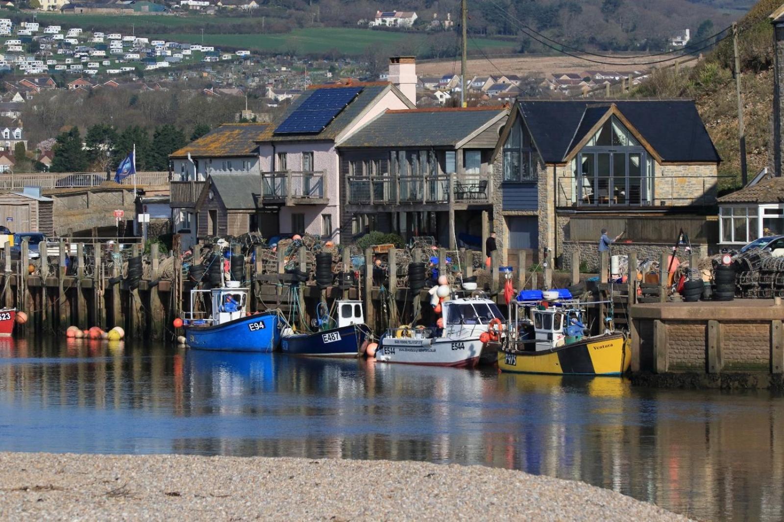 Harbour *
